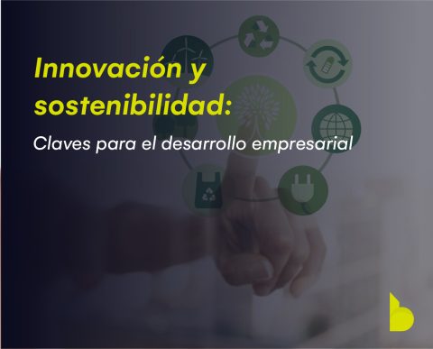 innovación y sostenibilidad